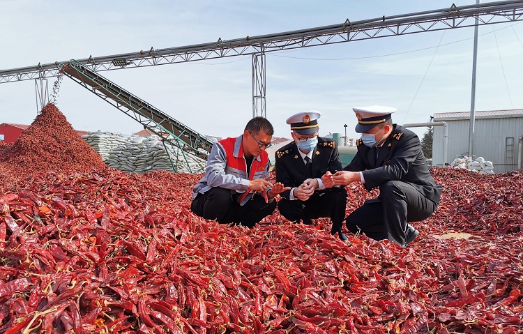 为上合示范区特色产业发展提供“海关新引擎”（图）