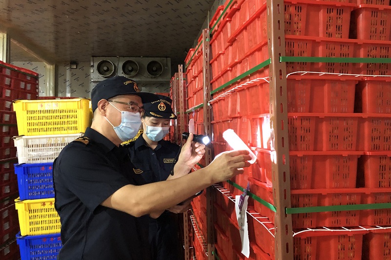 茂名荔枝出口创历史新高（图）