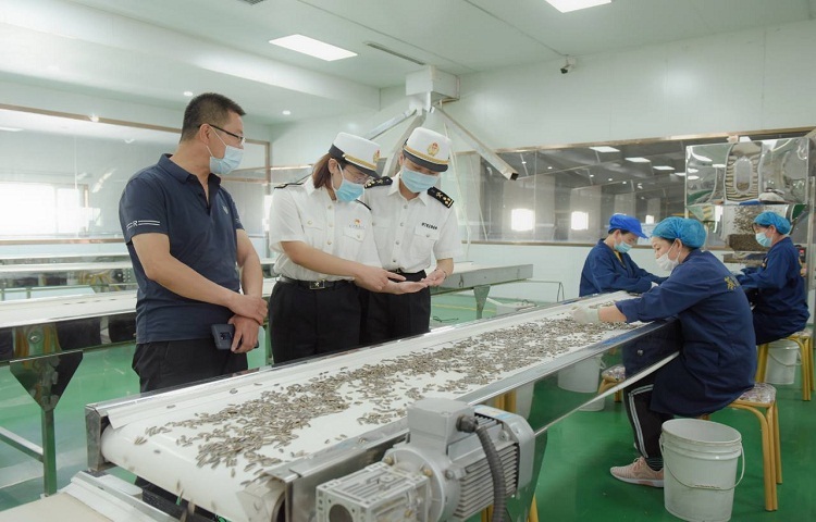乌拉特海关“一企一策”助力内蒙古葵花籽行销海外（图）