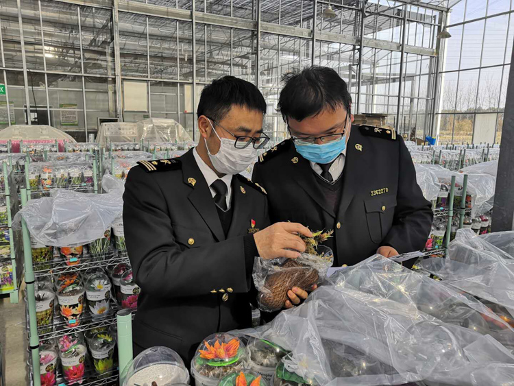 复工按下“快进键”