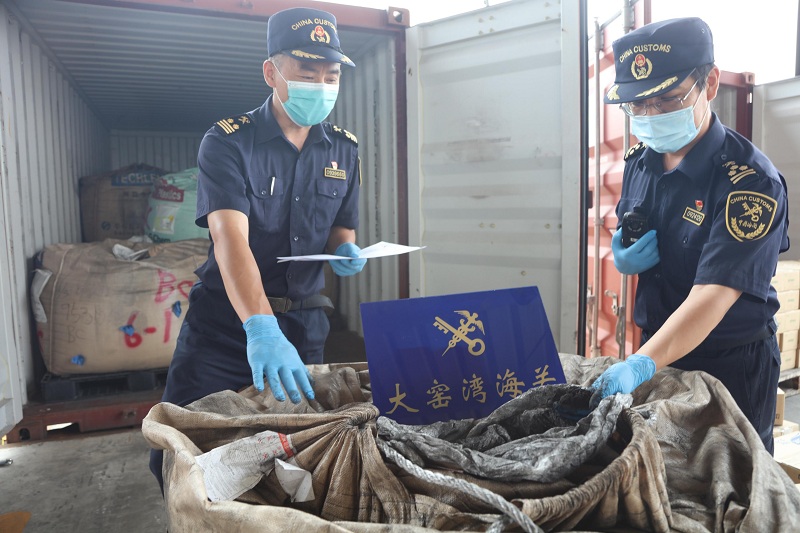 大连海关查获“洋垃圾”149.2吨（图）