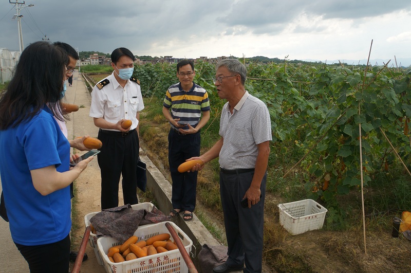 广州海关优化通关流程提供技术服务 粤港澳大湾区共享安全优质“菜篮子”产品(图)2 广州海关优化通关流程提供技术服务 粤港澳大湾区共享安全优质“菜篮子”产品(图)2