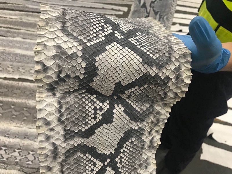 深圳邮局海关在过境快件中查获蟒蛇皮148张(图)2 深圳邮局海关在过境快件中查获蟒蛇皮148张(图)2