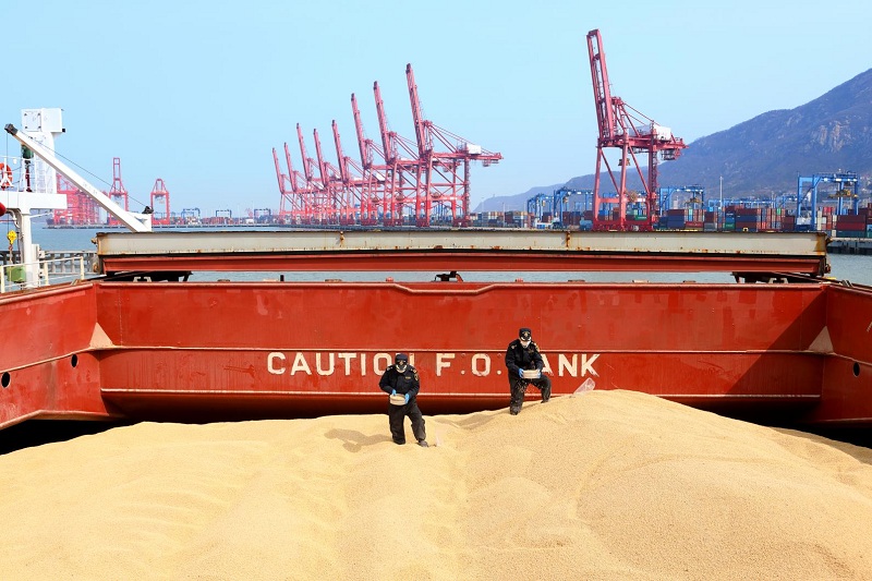 海关助力 连云港口岸5月份大豆进口量环比增长翻倍（图）1