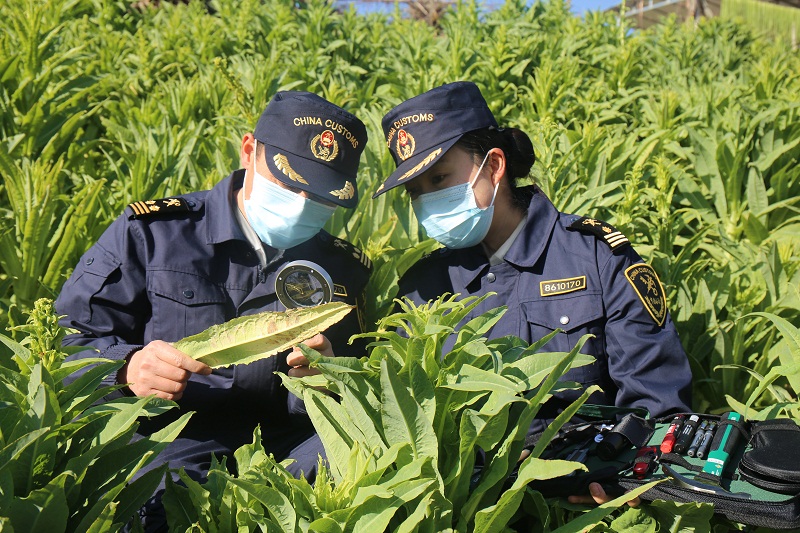 km km