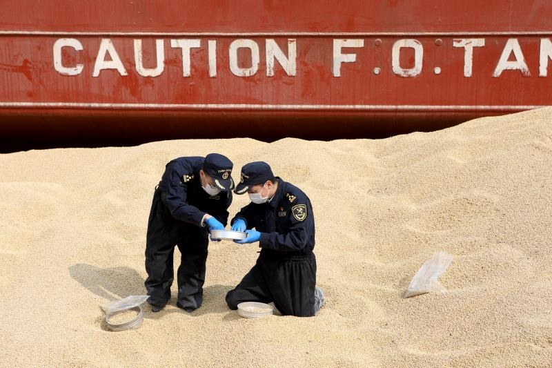 海关助力 连云港口岸5月份大豆进口量环比增长翻倍（图）2