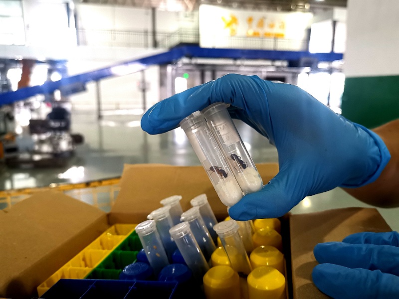 试管里面有玄机！（图）