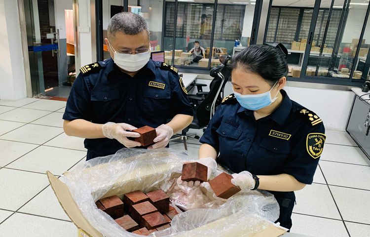 no濒危植物伪装“高端儿童积木”入境（图）