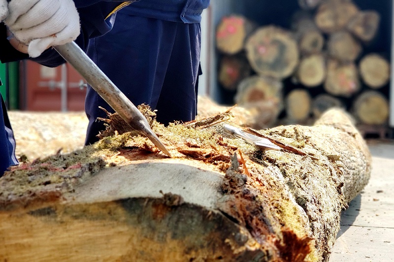 大窑湾海关畅通进口原木供应链（图）2