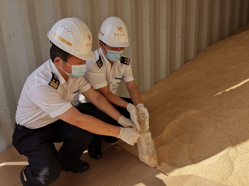 宁波海关从进境空箱中截获26吨转基因豆粕(图) 宁波海关从进境空箱中截获26吨转基因豆粕(图)