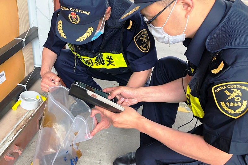 黄岛海关查获300余吨禁止进口固体废物（图）